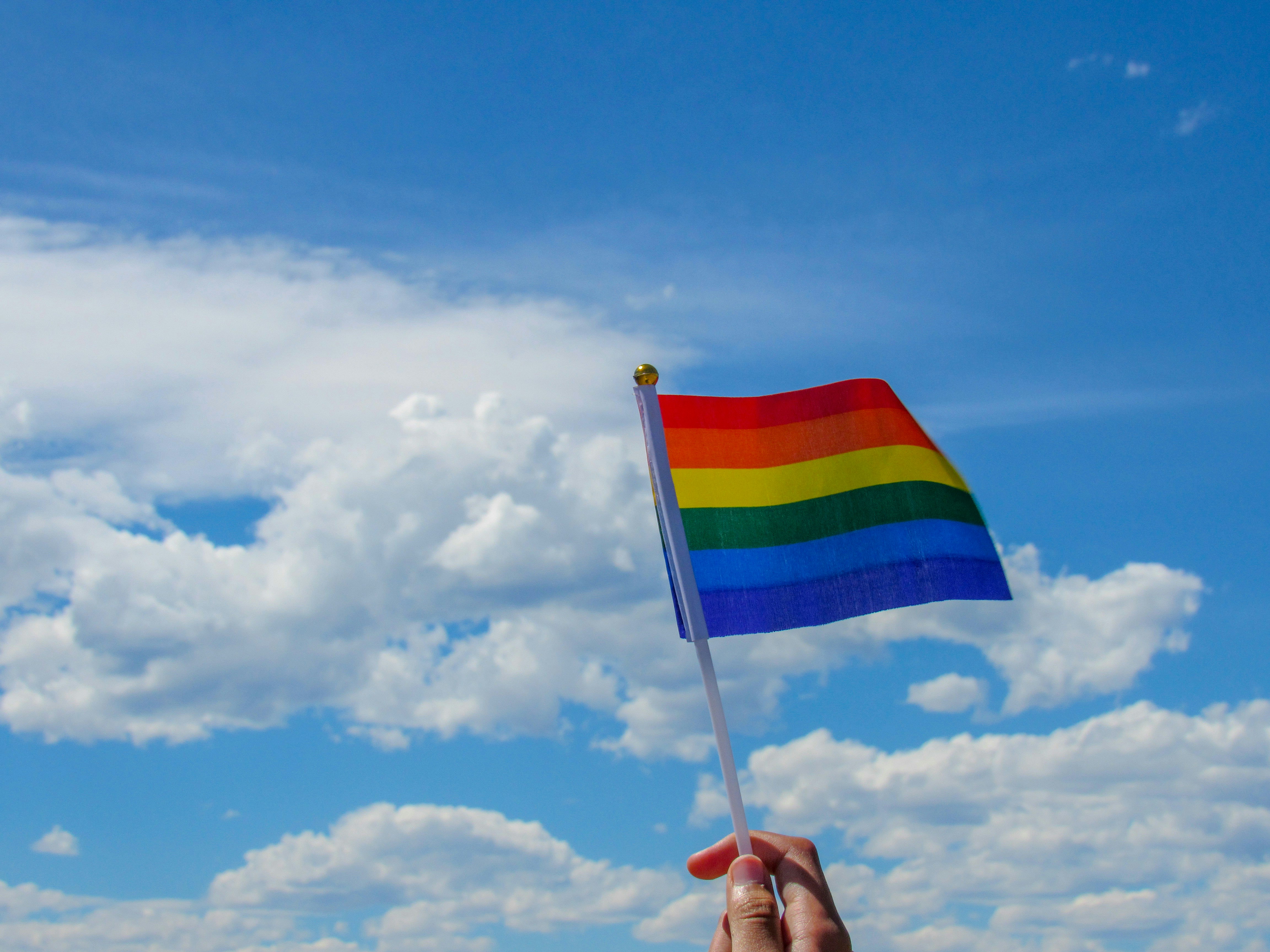 De regenboogvlag op het parlement: hoe een ideeënstelsel een instituut binnenkomt